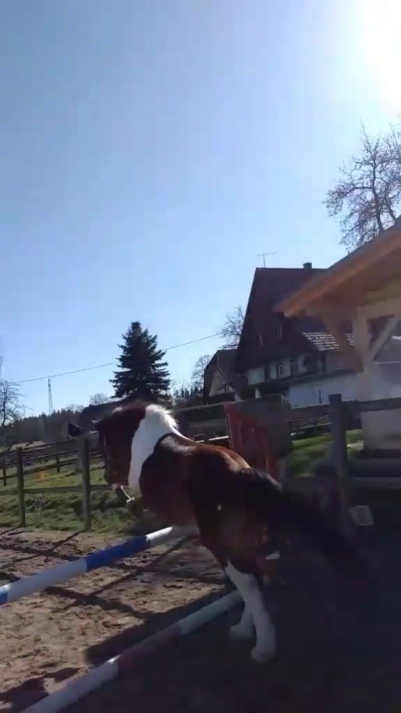 @Pony.gruppe❤️✨