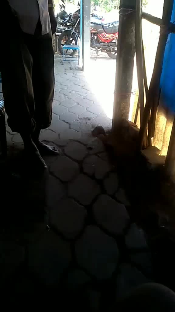 @Ganga Tharan
