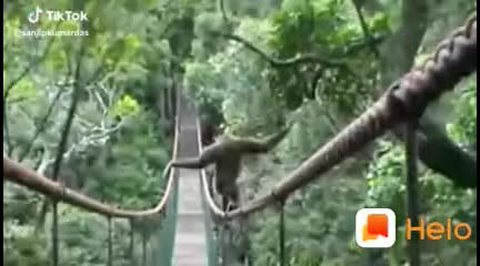 @user007890