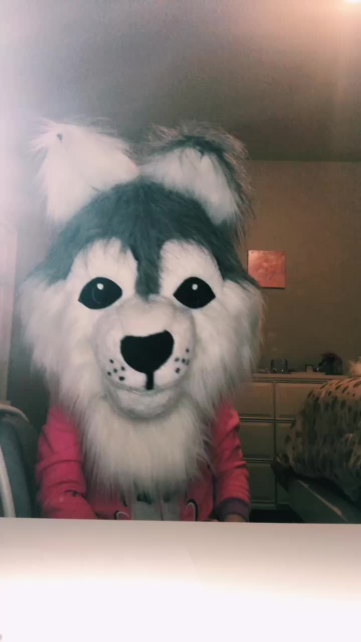 @fursuitwolf111