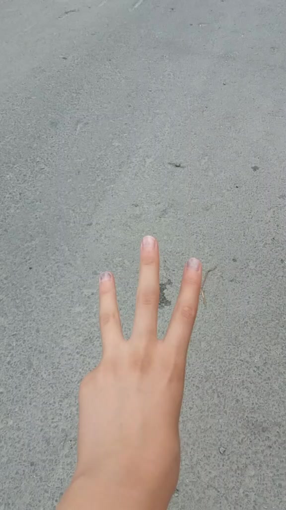 @yarenyeygel