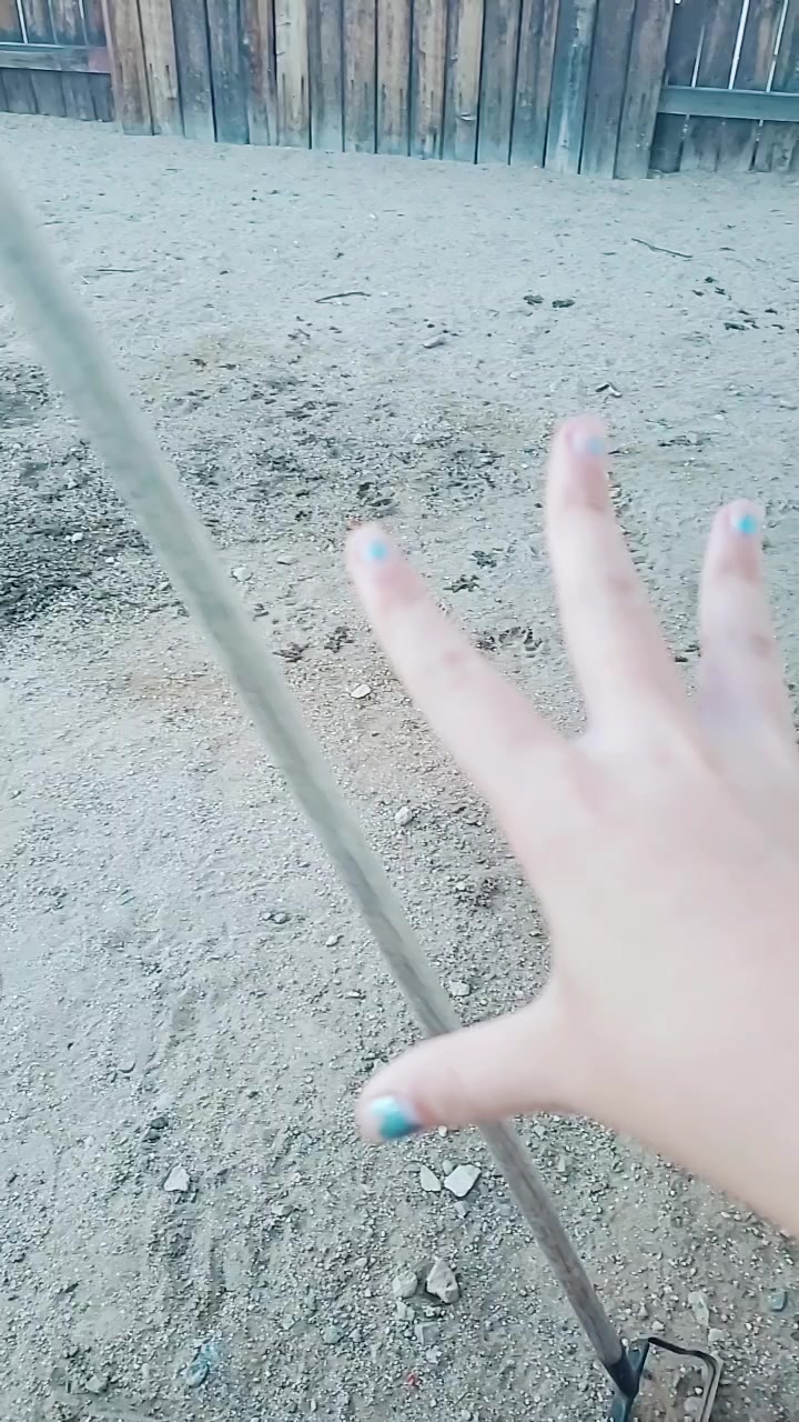 @🌊💙🐬