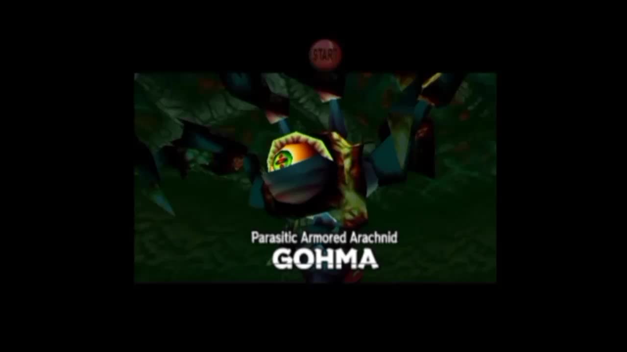 @HeroOfHyrule