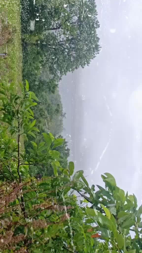 @shrutika