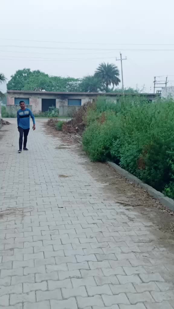 @टिम- तँवर -440