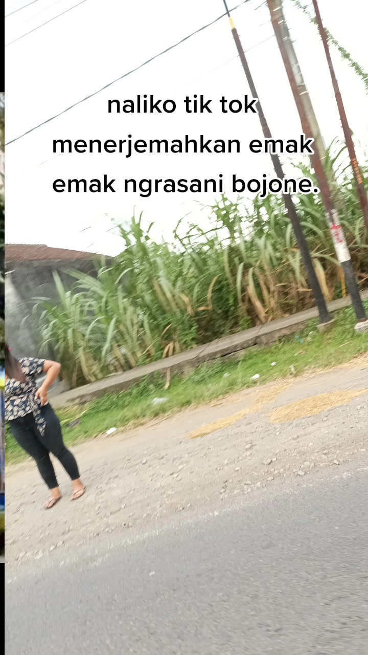 @santpecis