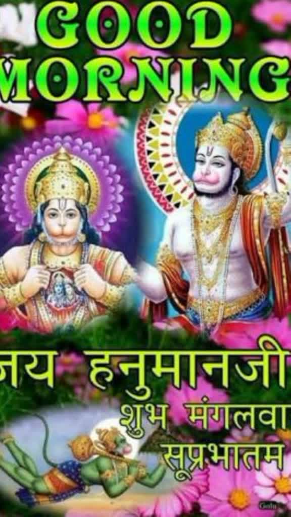 @Chandni Rajpoot