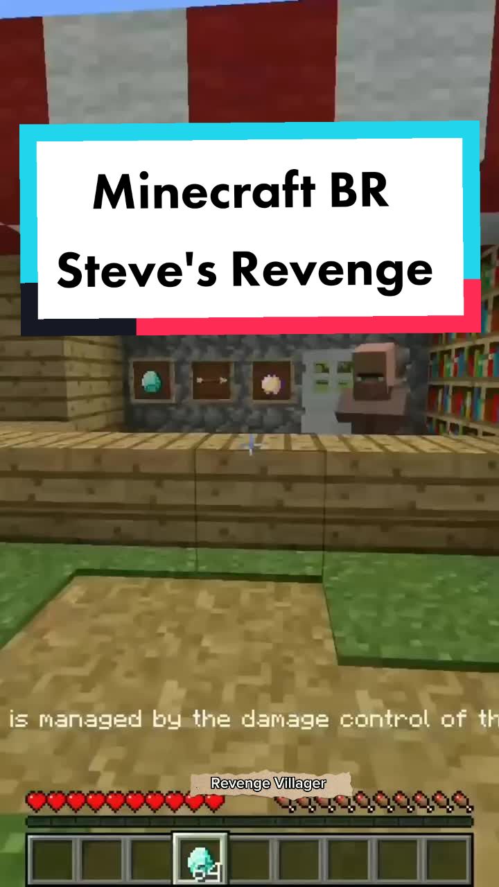@Minecraft BR