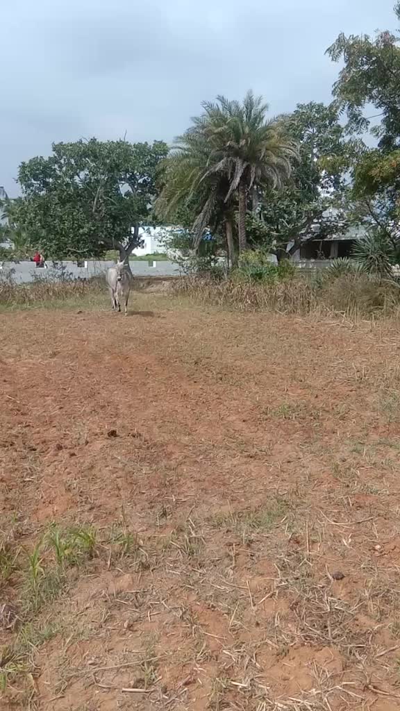 @Vijay Karan