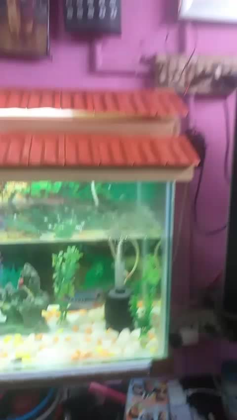 @devisamundisweri7