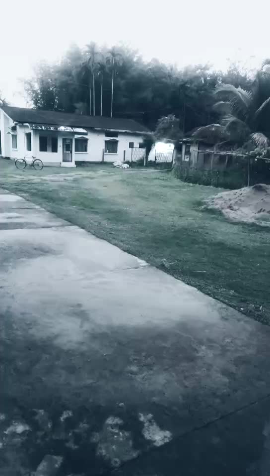 @Tanaya Rajkhowa