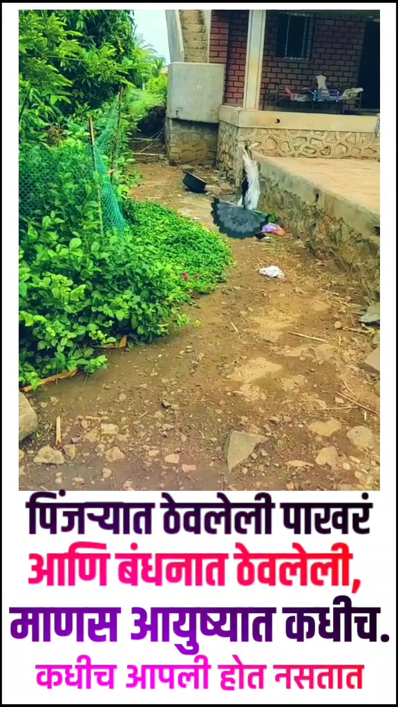 @Swapnil_Keskar