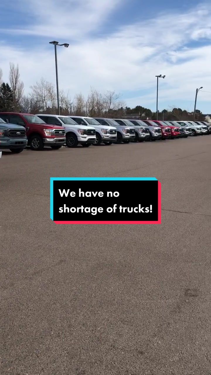 @D Alex MacDonald Ford