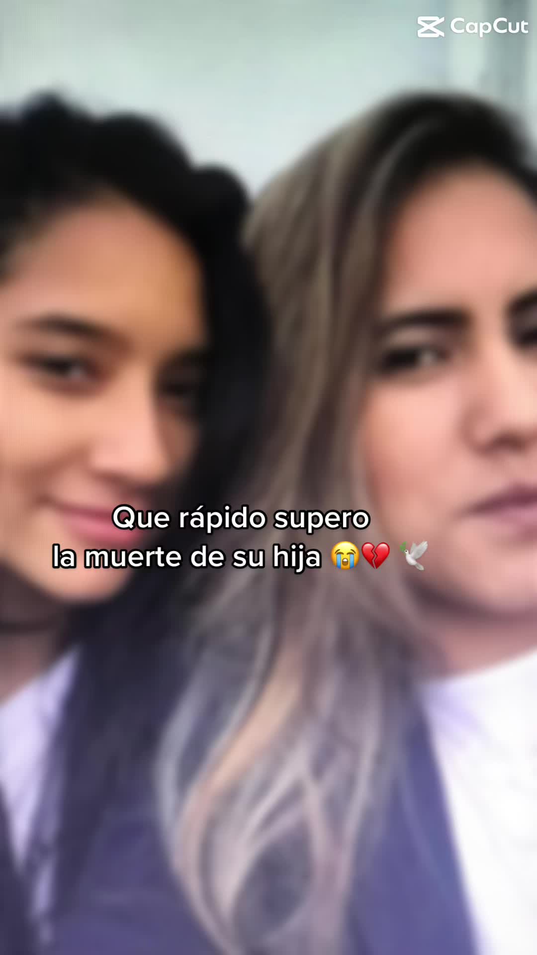 @evelynortiz03