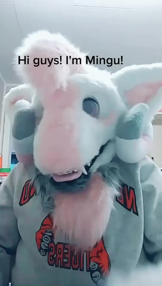 @Miki