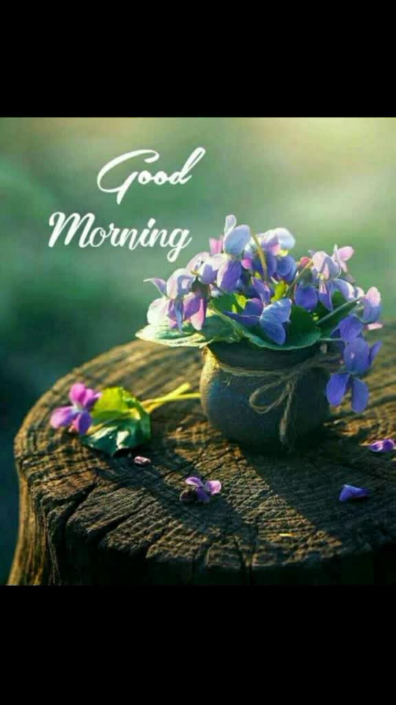 @divyan boss