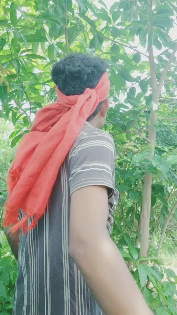 @user7327805509904