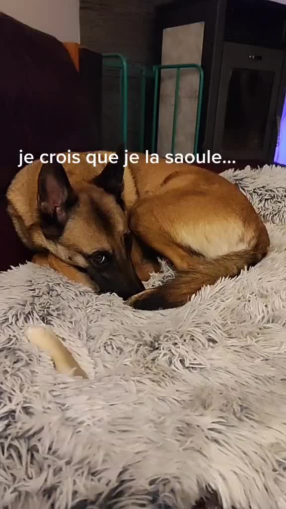 @Eau De Ré Effosse