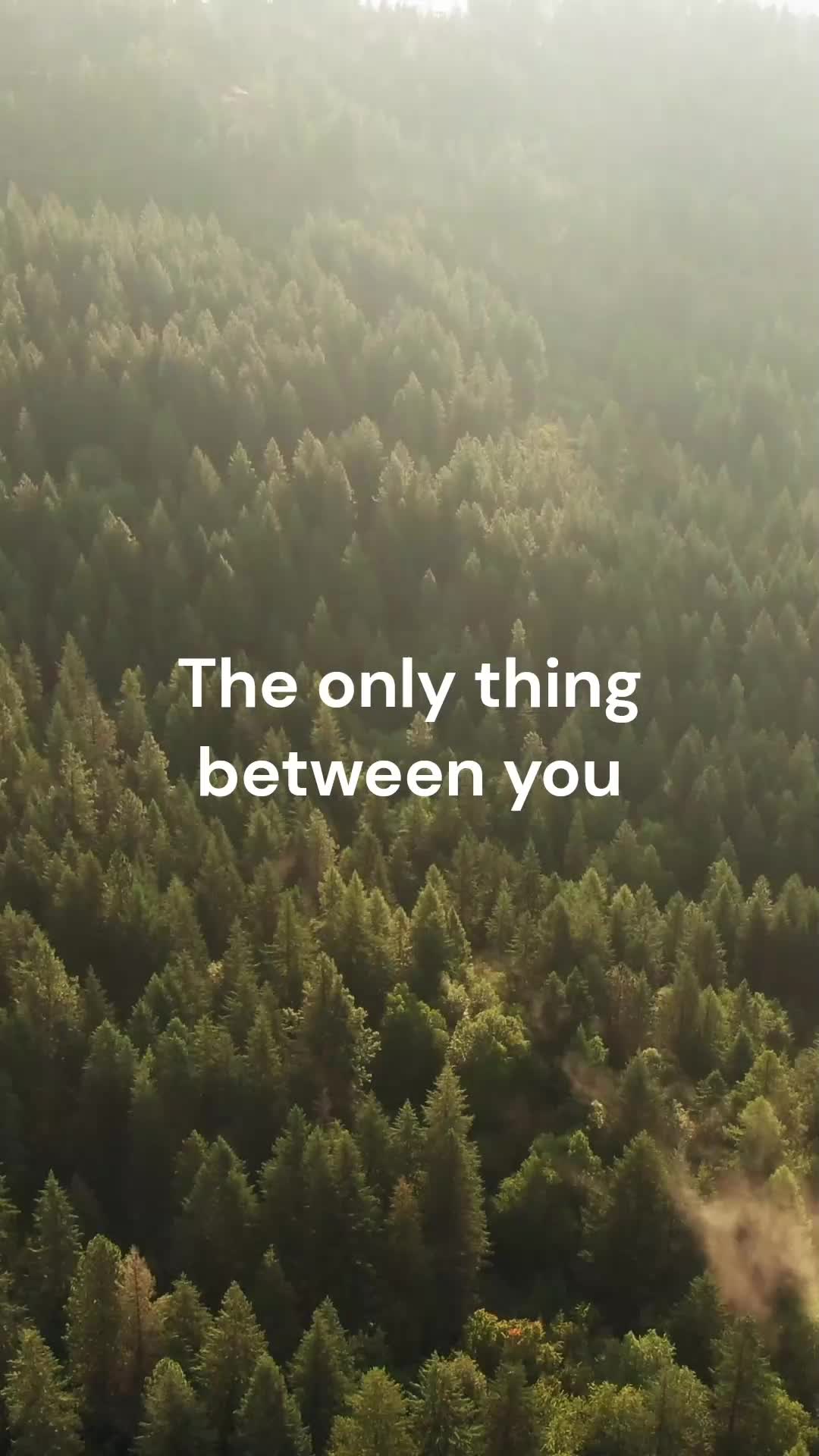@MotivationX