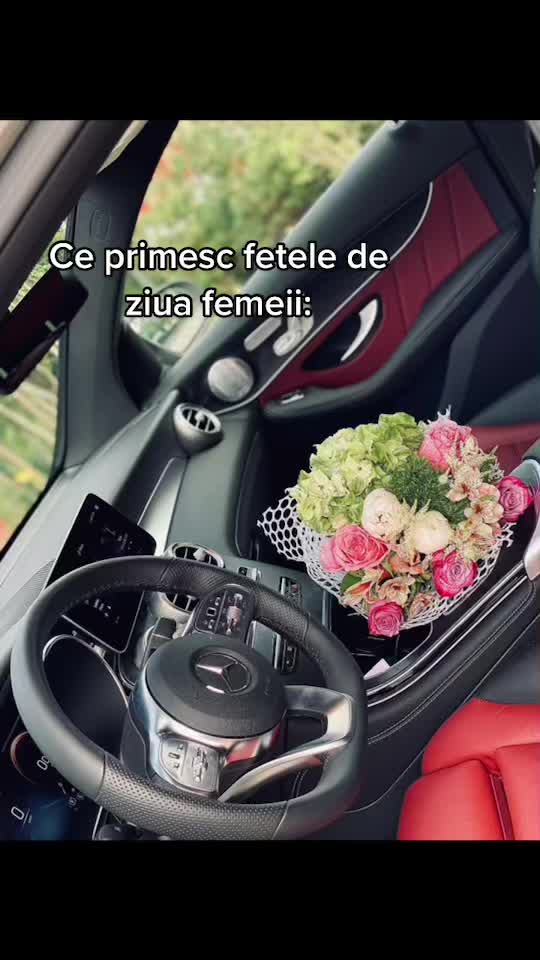 @Teo Matei