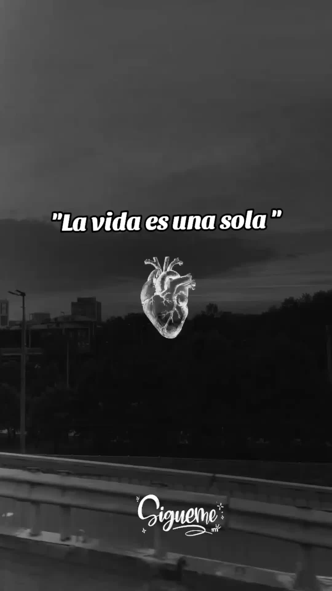 @elenita🕷️