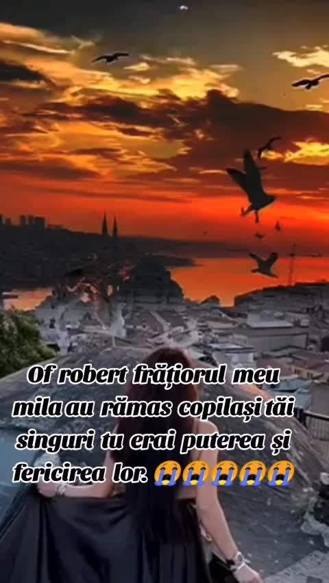 @Flory Ionescu