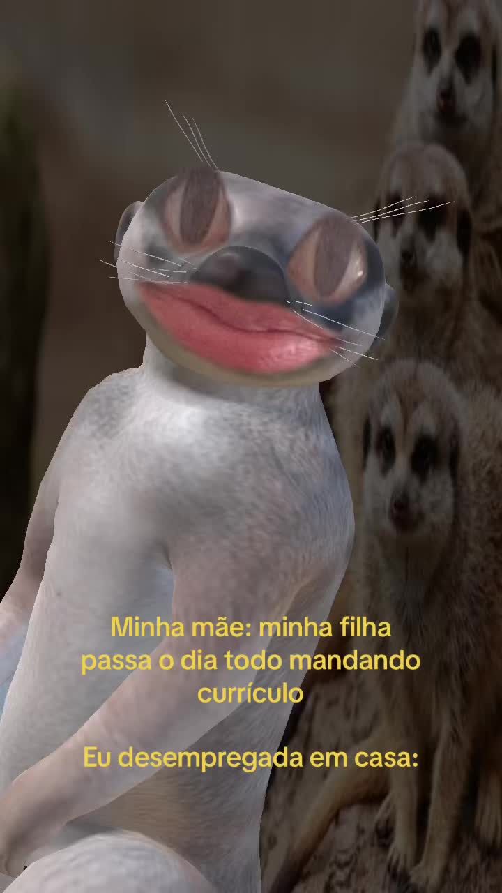 @Barbara Lauriene Fer