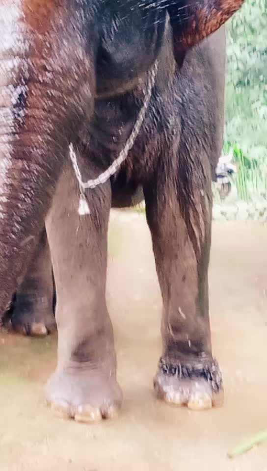 @sujith babu