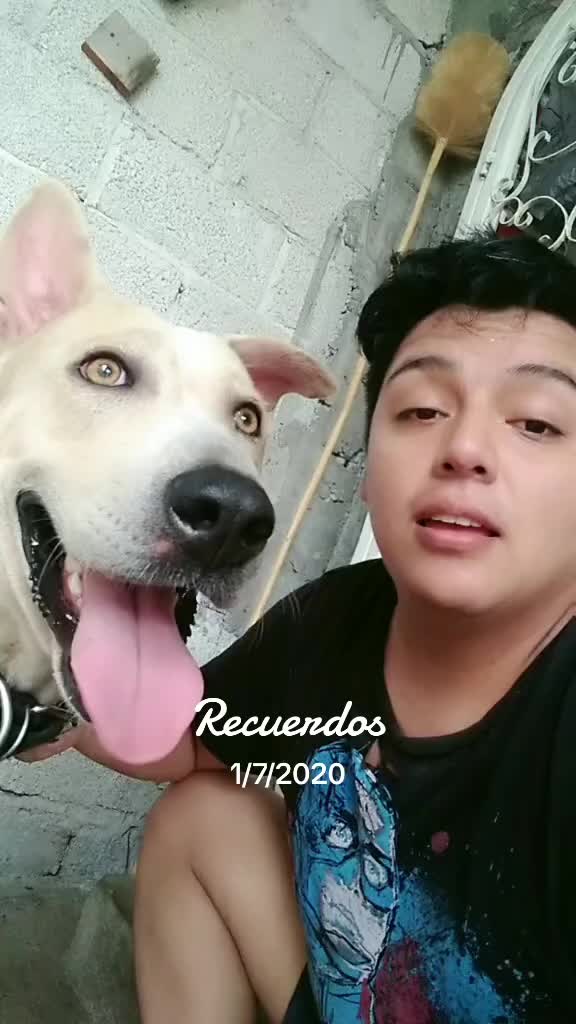 @Quique Gonz&aacute;lez 🦷🦁🙊