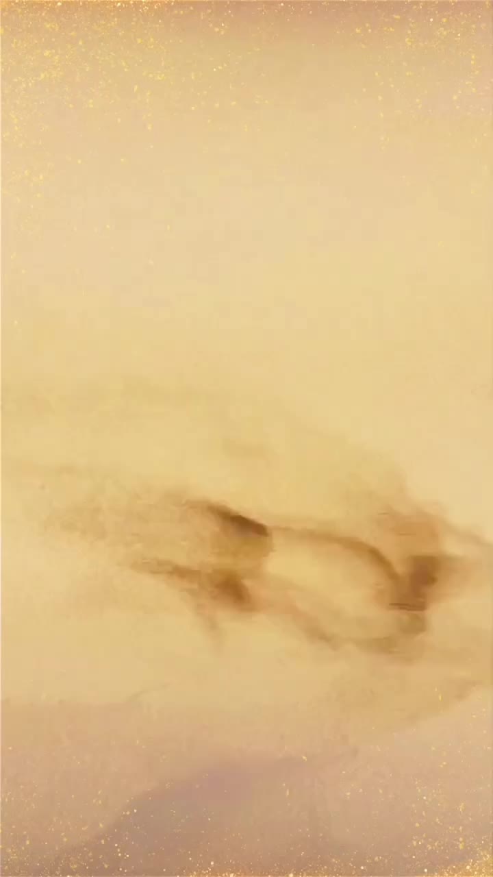 @user845209