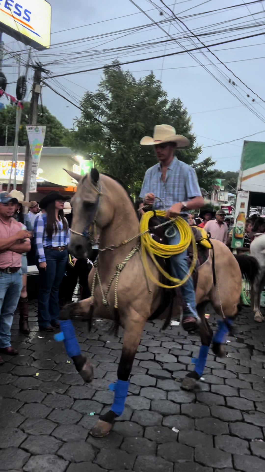 @José Núñez