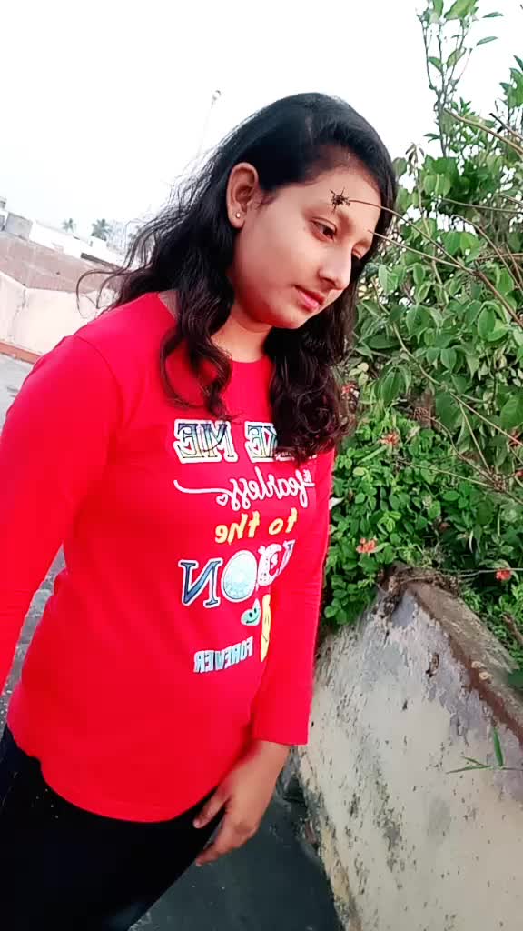 @alipsa
