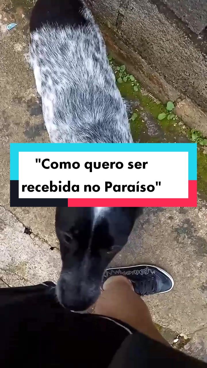 @Amordequatropatas