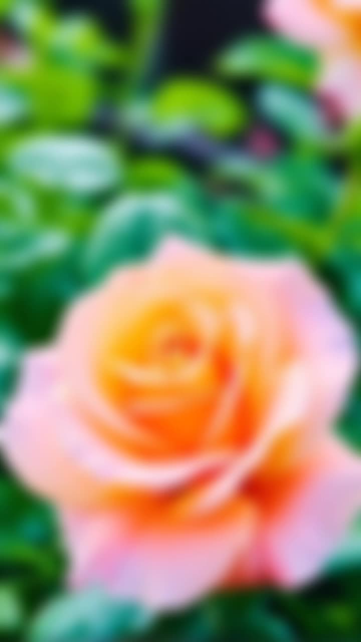 @Happy
