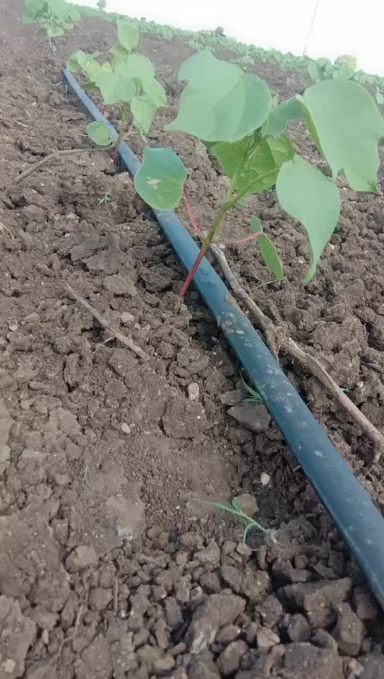 @Ravirajbhai_____8140