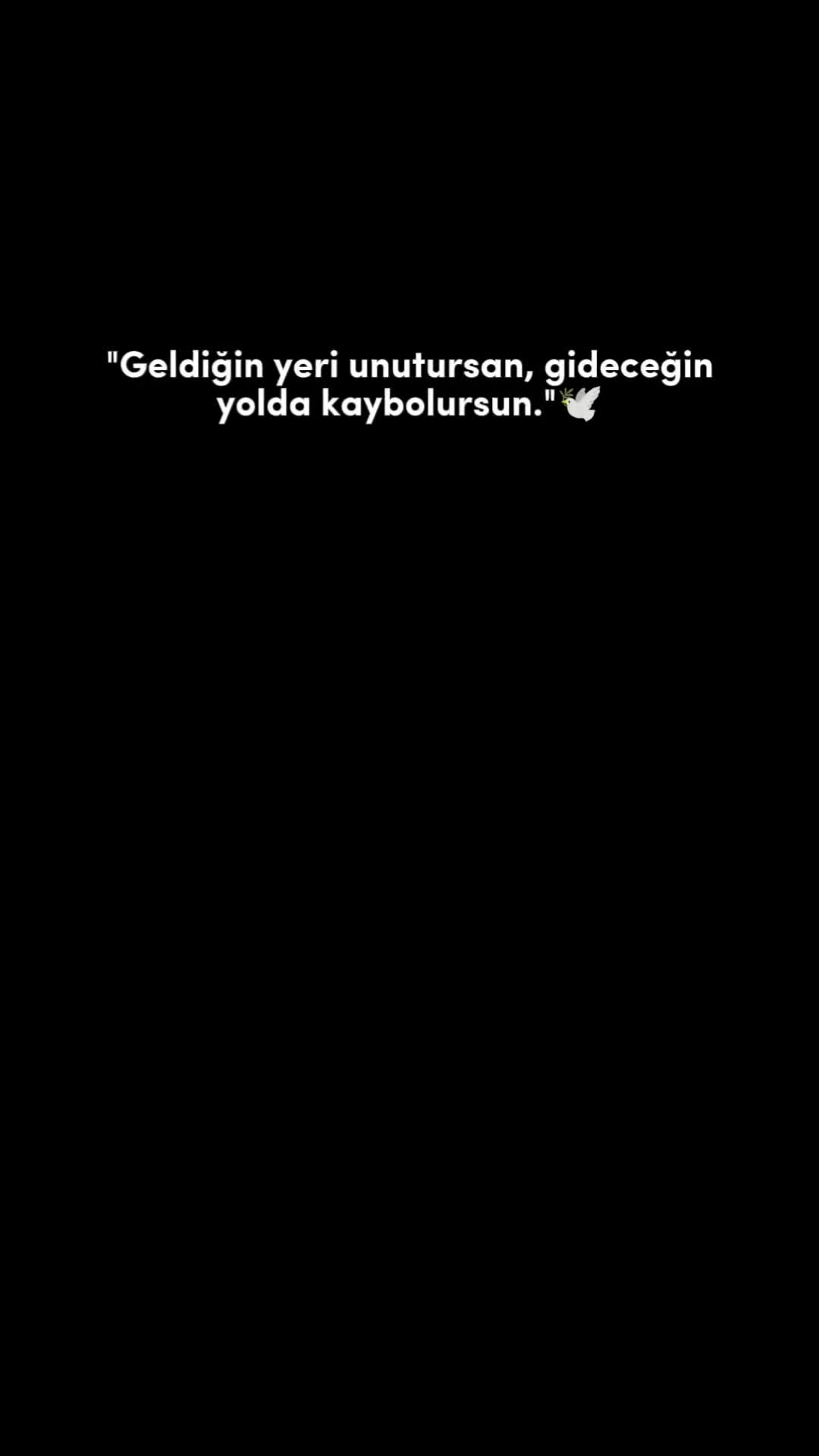 @illegalstory1🦅