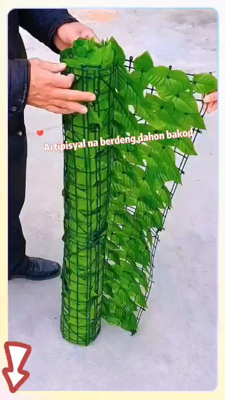 @qixihan