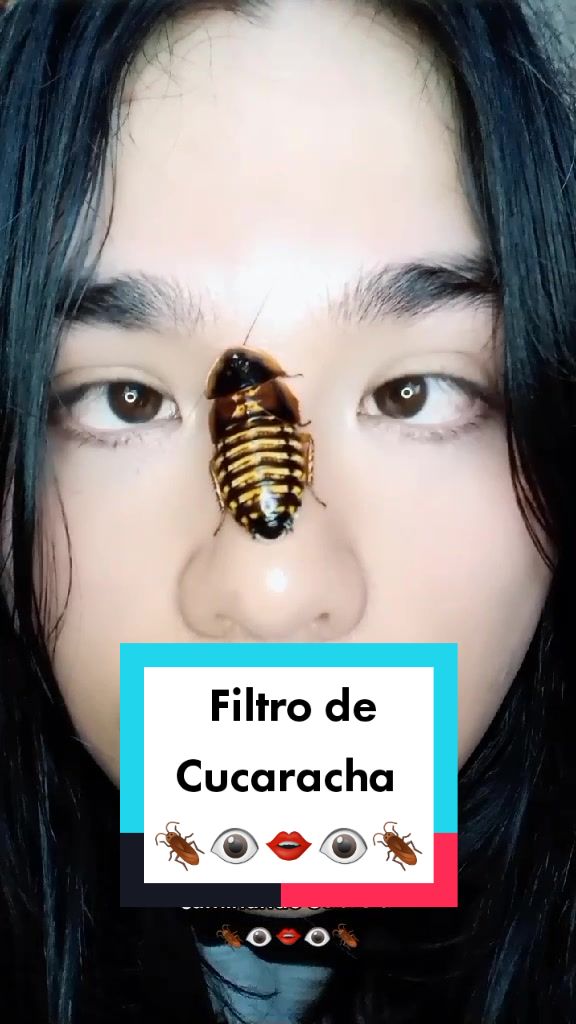 @El Cucarachero🪳🪳🪳