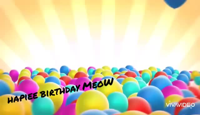 @Elaks_meow