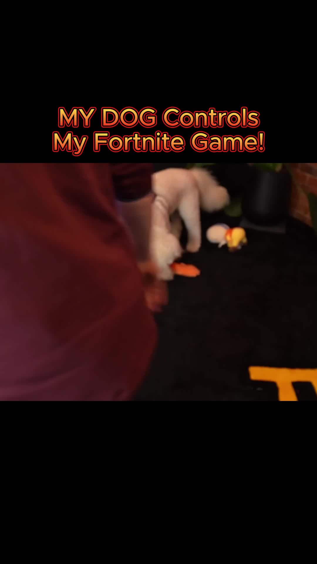 @Lachlan
