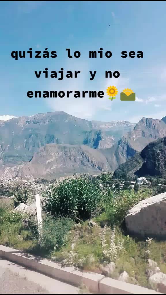 @marisol Flores 🌻