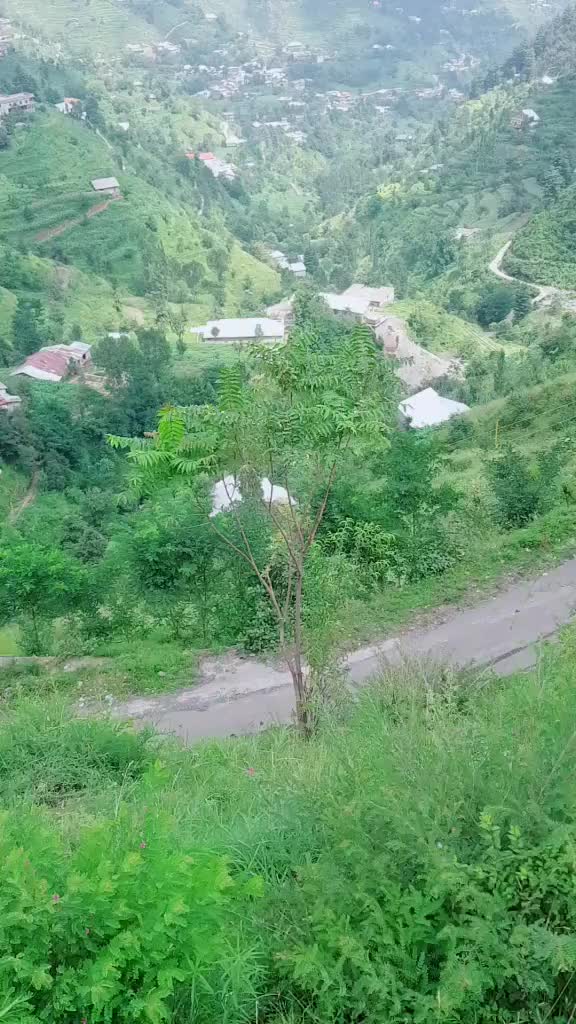 @☠️PUKHTOON🔥