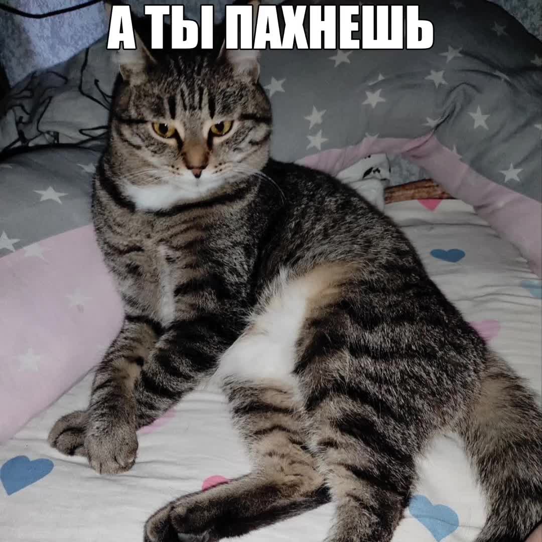 @yemekonawww