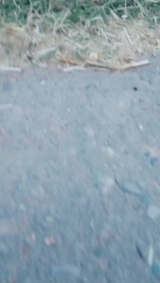 @Vïjåy.....