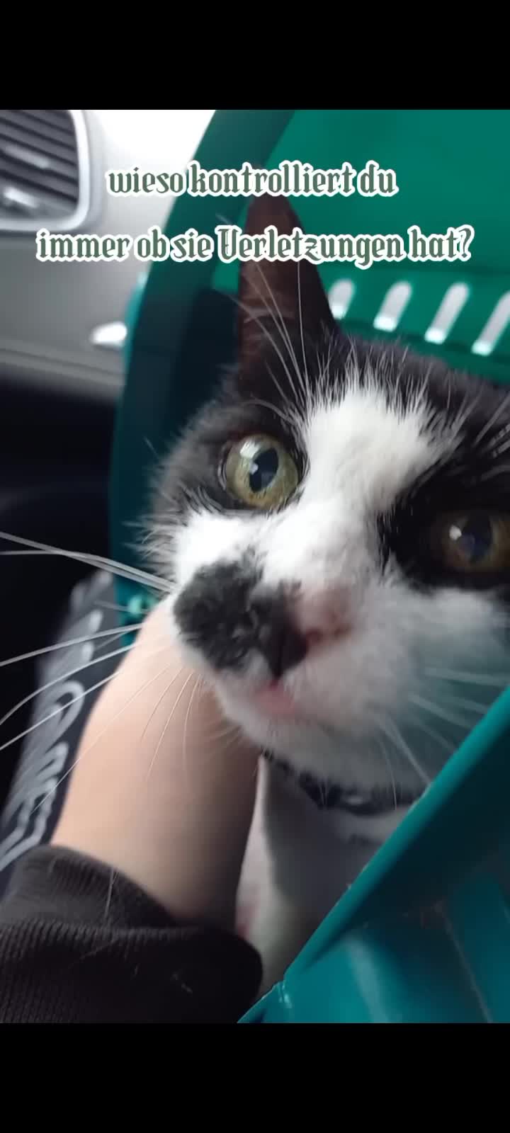 @Hi<3