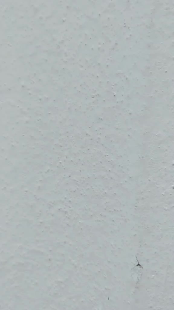 @রিষড়ার _ ছেলে _ আমি
