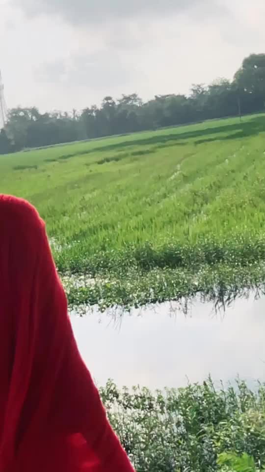 @Tohena Rahaman