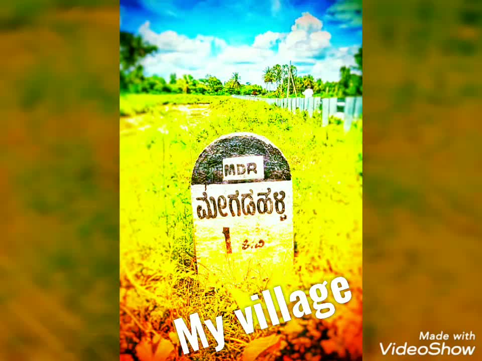 @kingstar vijay