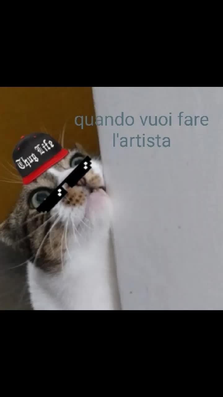 @anonimus