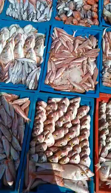 @Fouad p&ecirc;cheur
